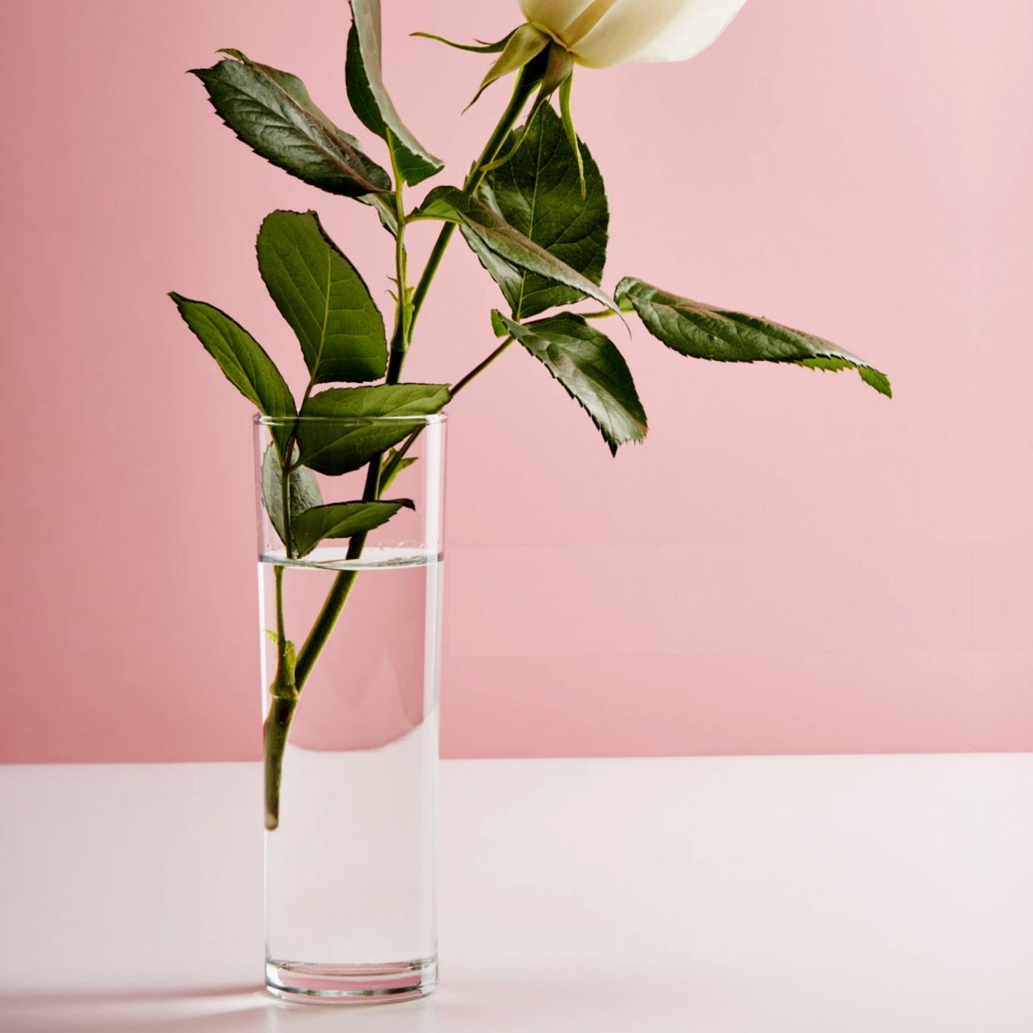 FLORA 12" Glass Cylinder Vase