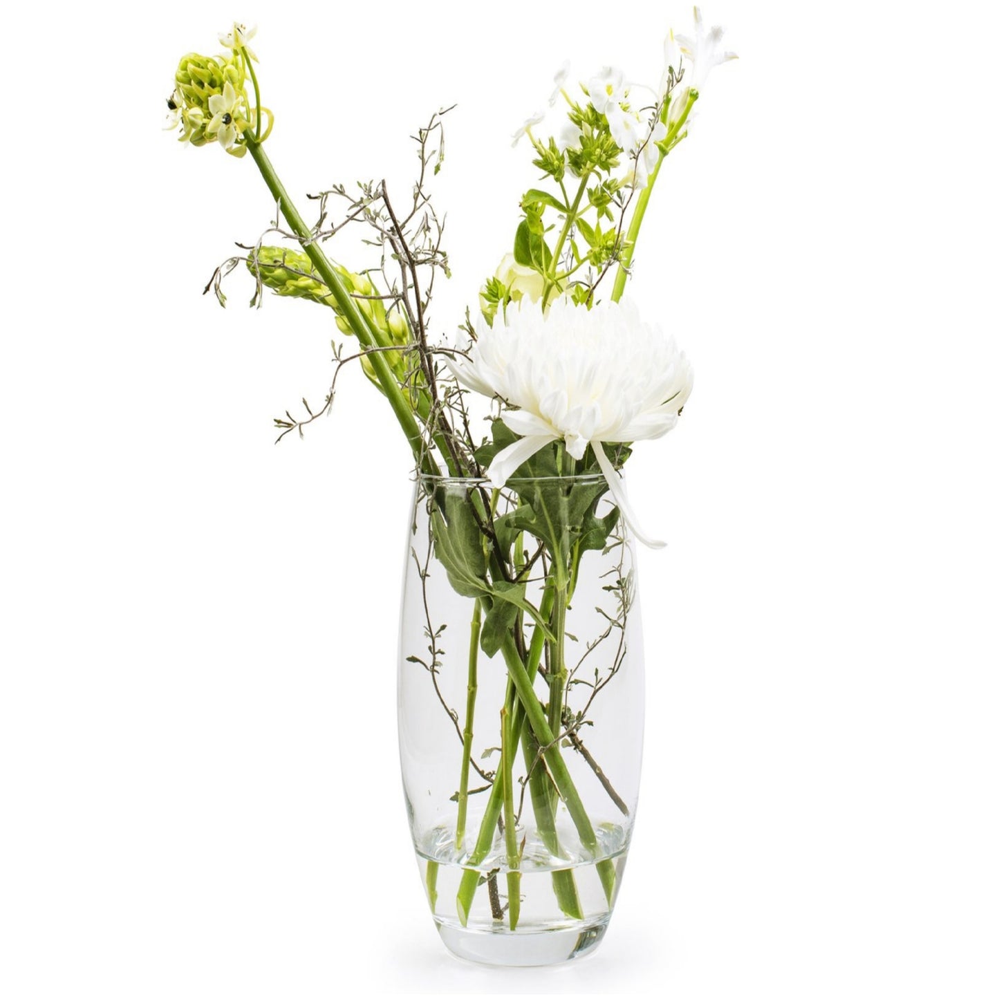 AMARYLLIS 12" Glass Bullet Vase