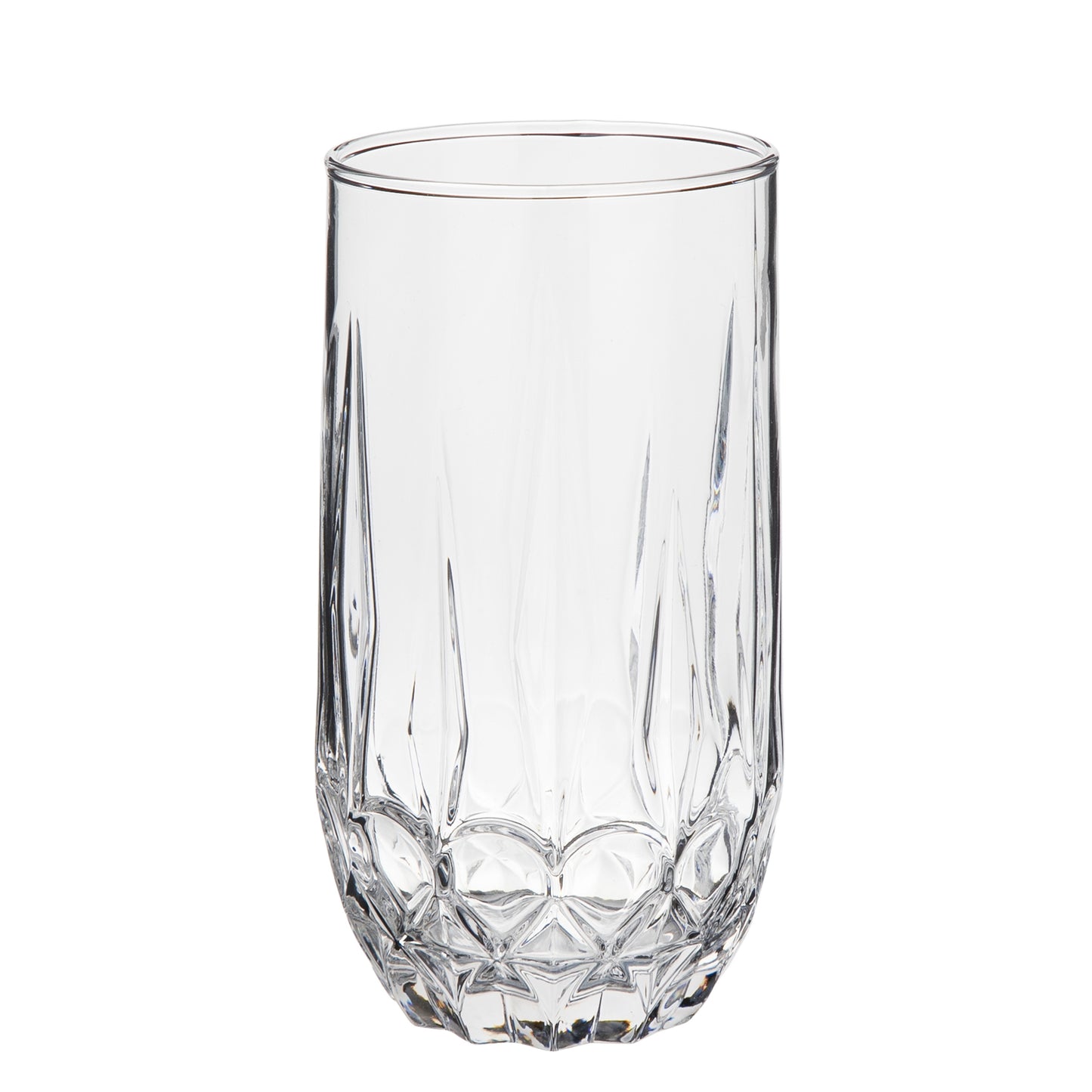 FIORA 14 oz Glass Tumbler Set