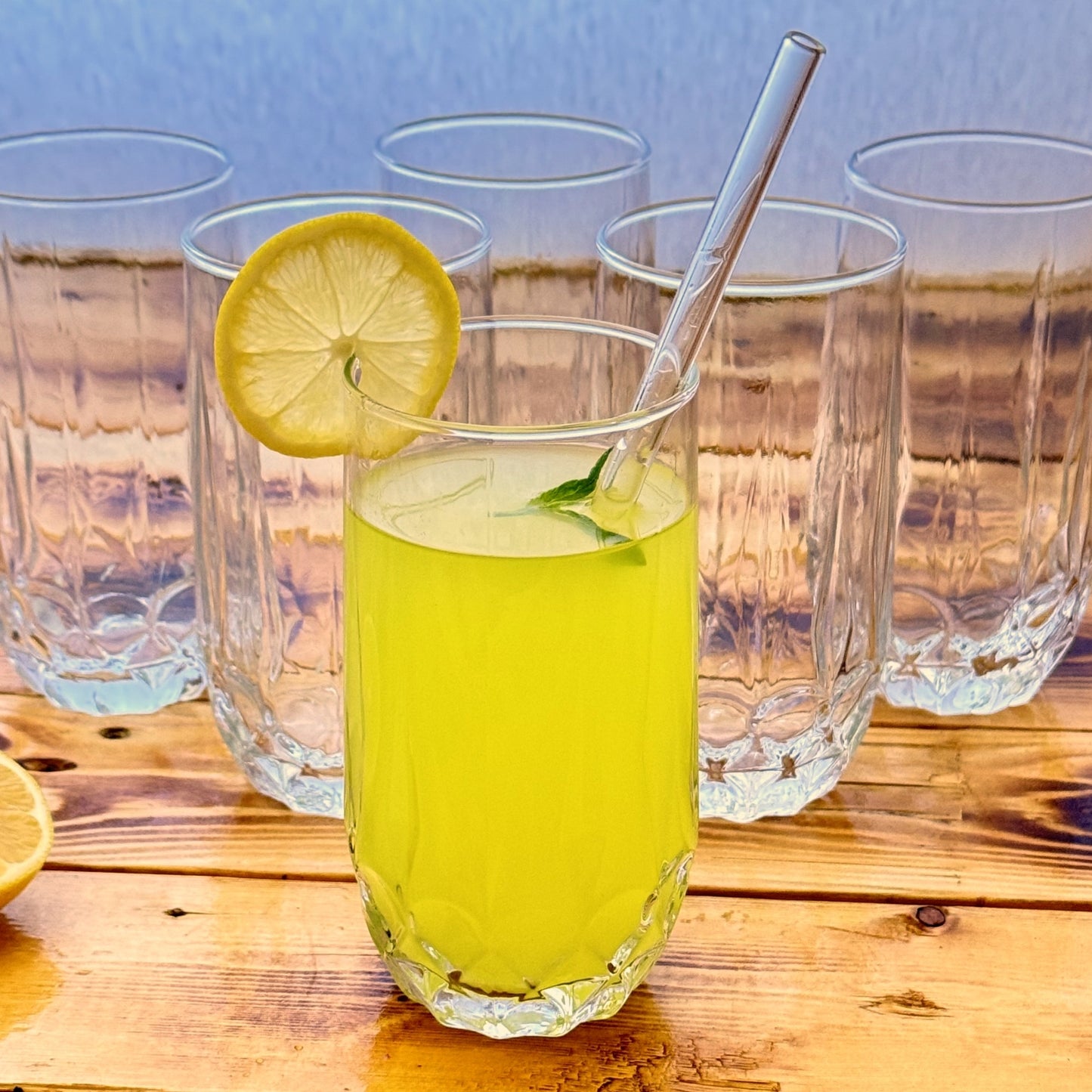 FIORA 14 oz Glass Tumbler Set